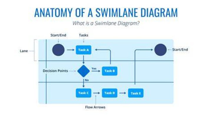 How many laps should I swim as a beginner?
