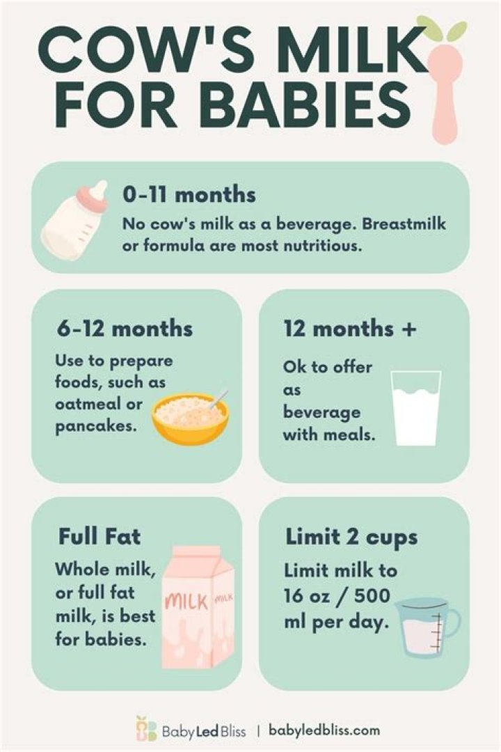 How many oz of cow's milk should a 1 year old drink?