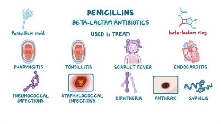 How many penicillin should I take a day?