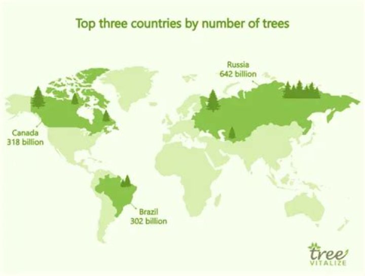How many trees are in Brazil?