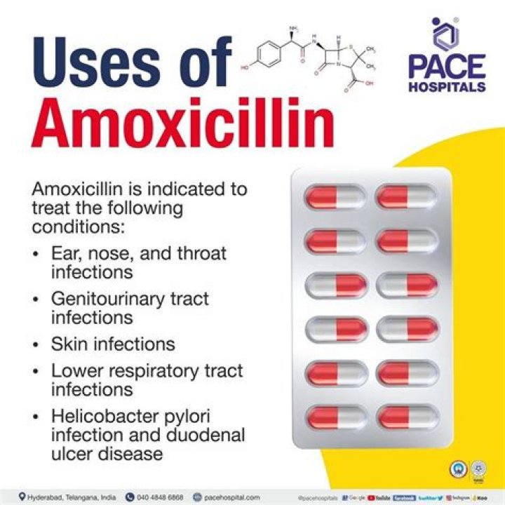 How much amoxicillin do you take for syphilis?