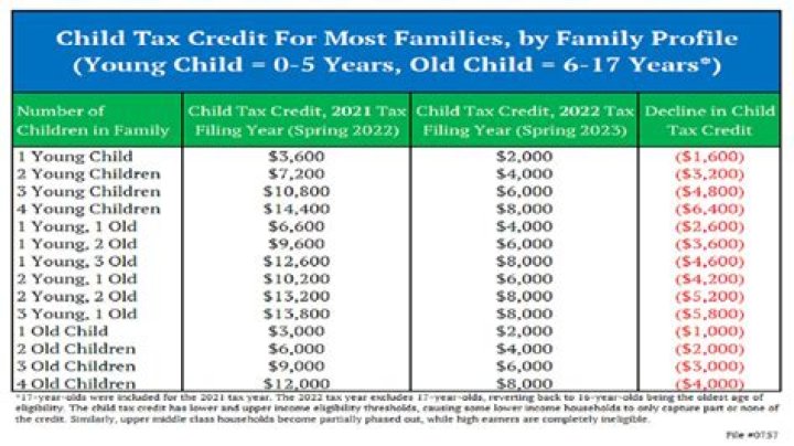 How much do you get back in taxes for a child born in 2021?