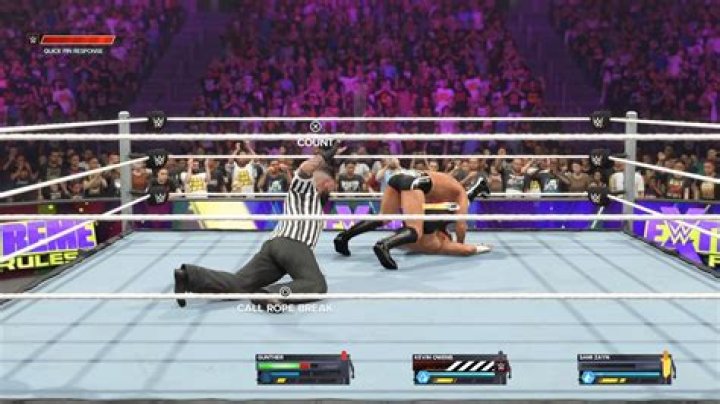 How much does a WWE Ref make?
