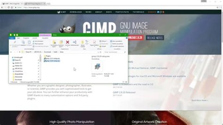 How much does GIMP cost?