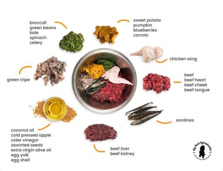 How much homemade dog food should you feed your dog?