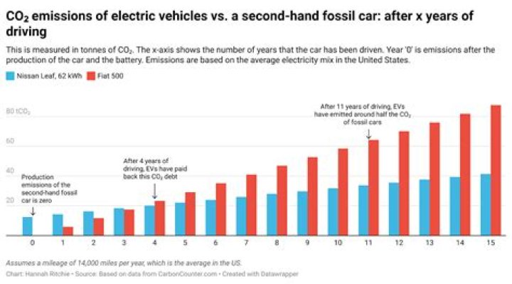 How much longer will petrol cars be around?