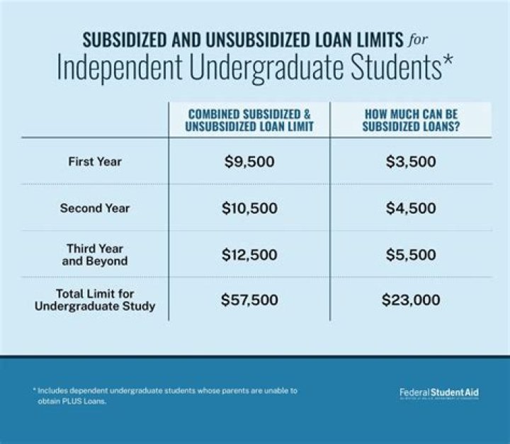 How much of a student loan is too much?