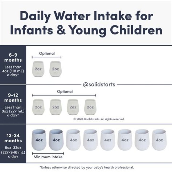 How much water should I drink to get a good ultrasound?