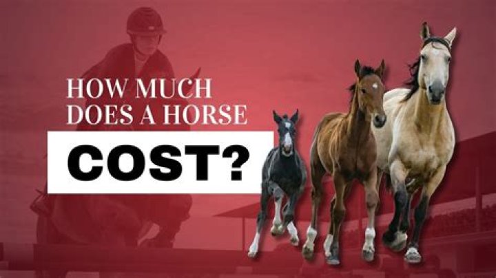 How much would a horse cost in medieval times?