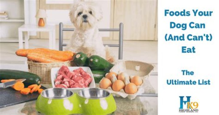 How much yogurt can I feed my dog per day?