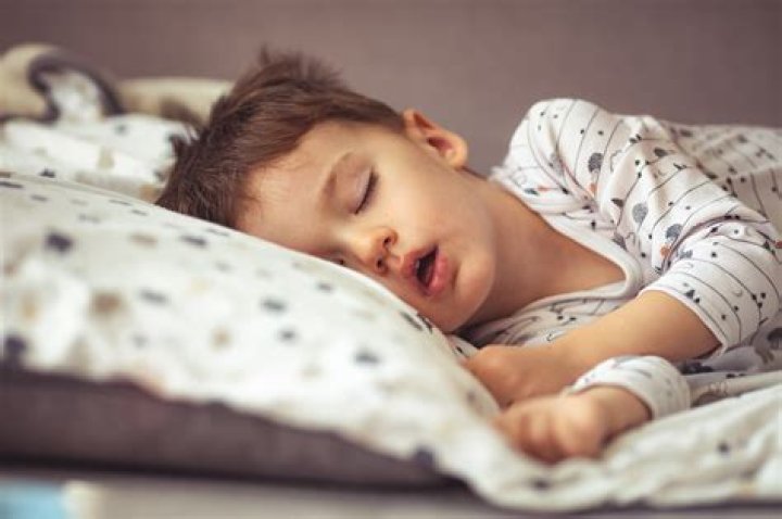 How often does a 2 year old nap?