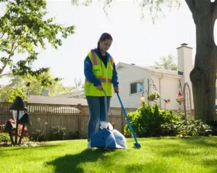 How often should dog poop be picked up?