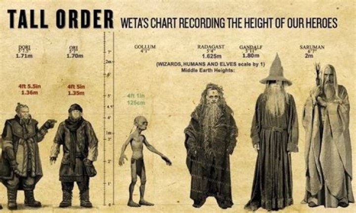 How tall is a half-elf?