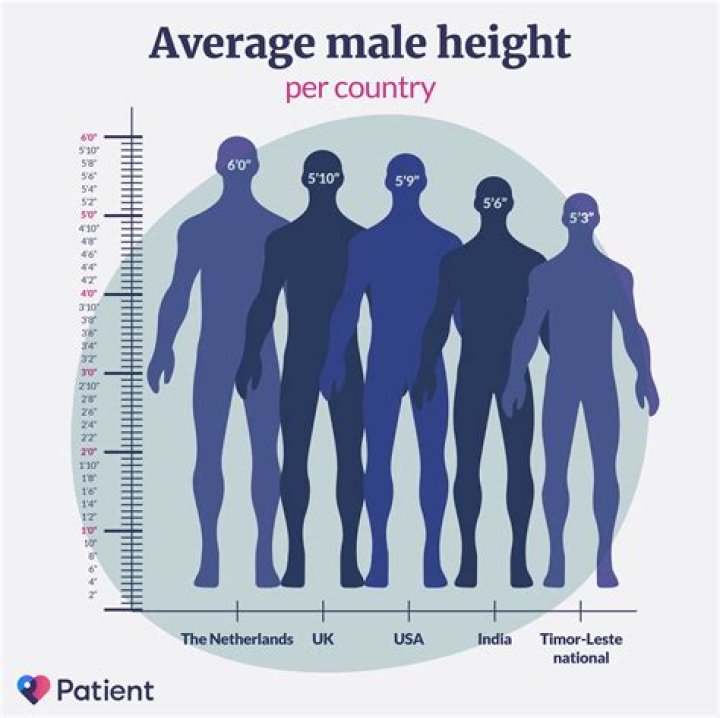 How tall is the average soldier?
