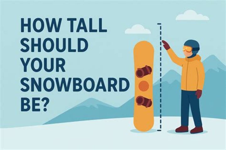 How tall should your nose be?