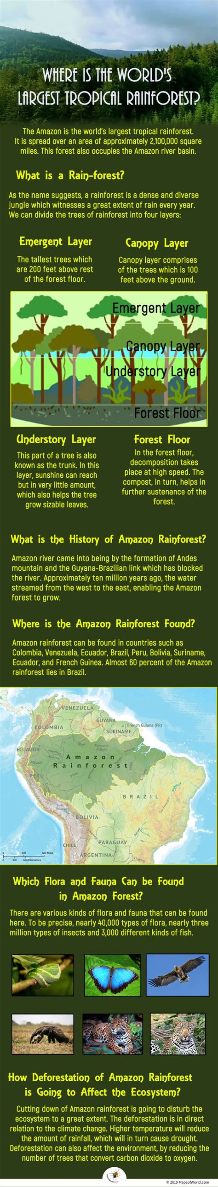 In which country is the world's largest tropical rainforest?