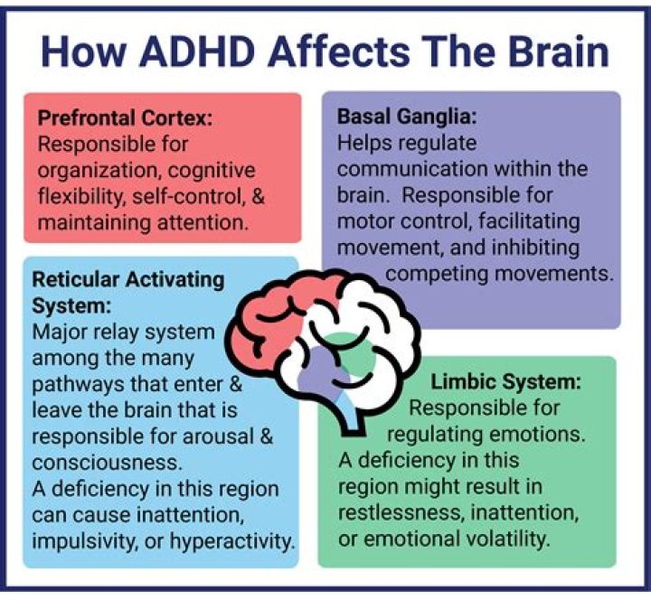 Is ADHD chemical or neurological?
