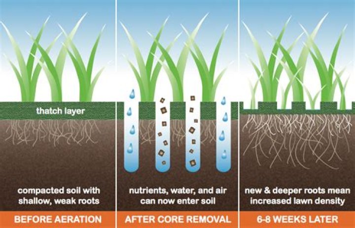 Is aeration necessary for overseeding?