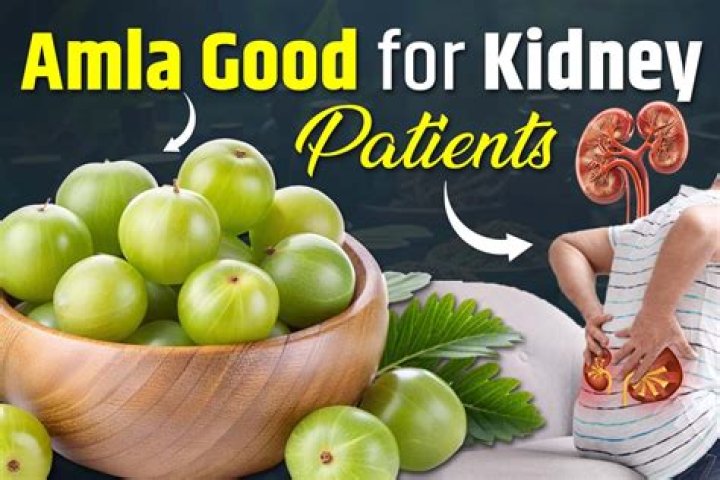 Is amla good for kidney?