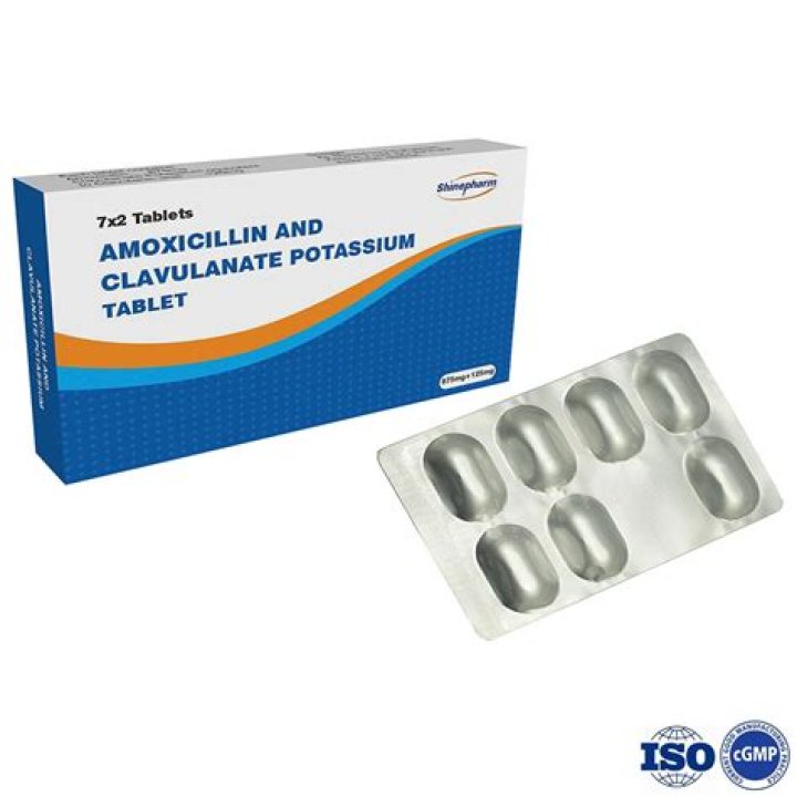 Is amoxicillin and doxycycline the same?