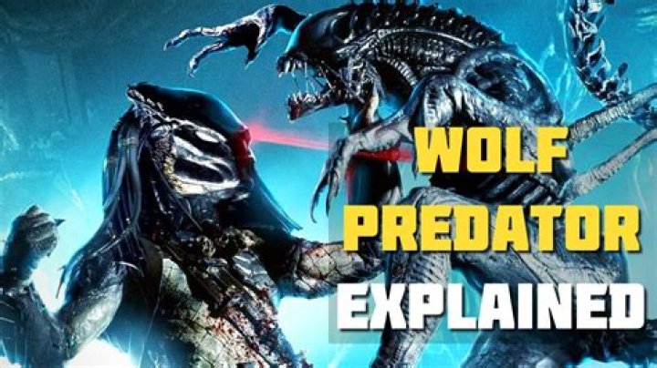Is AVP Canon to Predator?