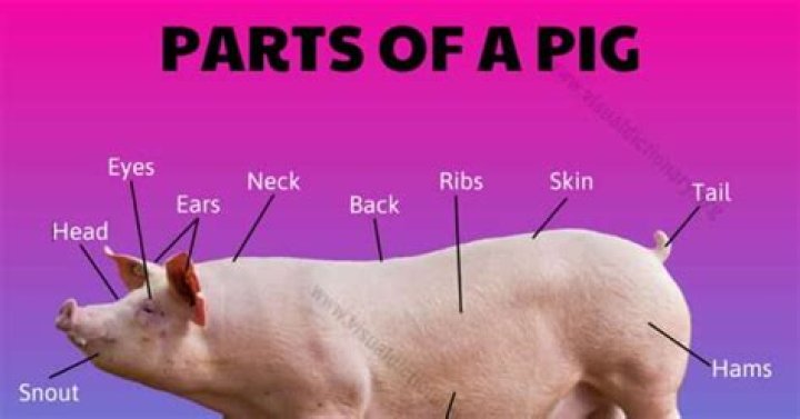 Is boudin a pig's intestines?
