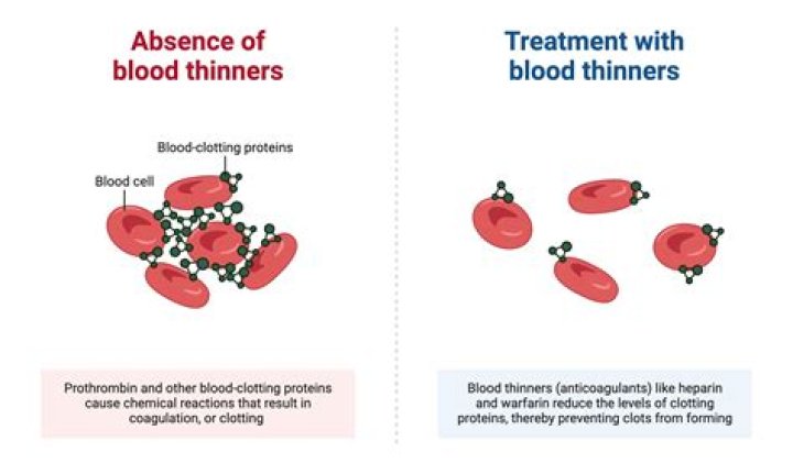 Is chaga a blood thinner?