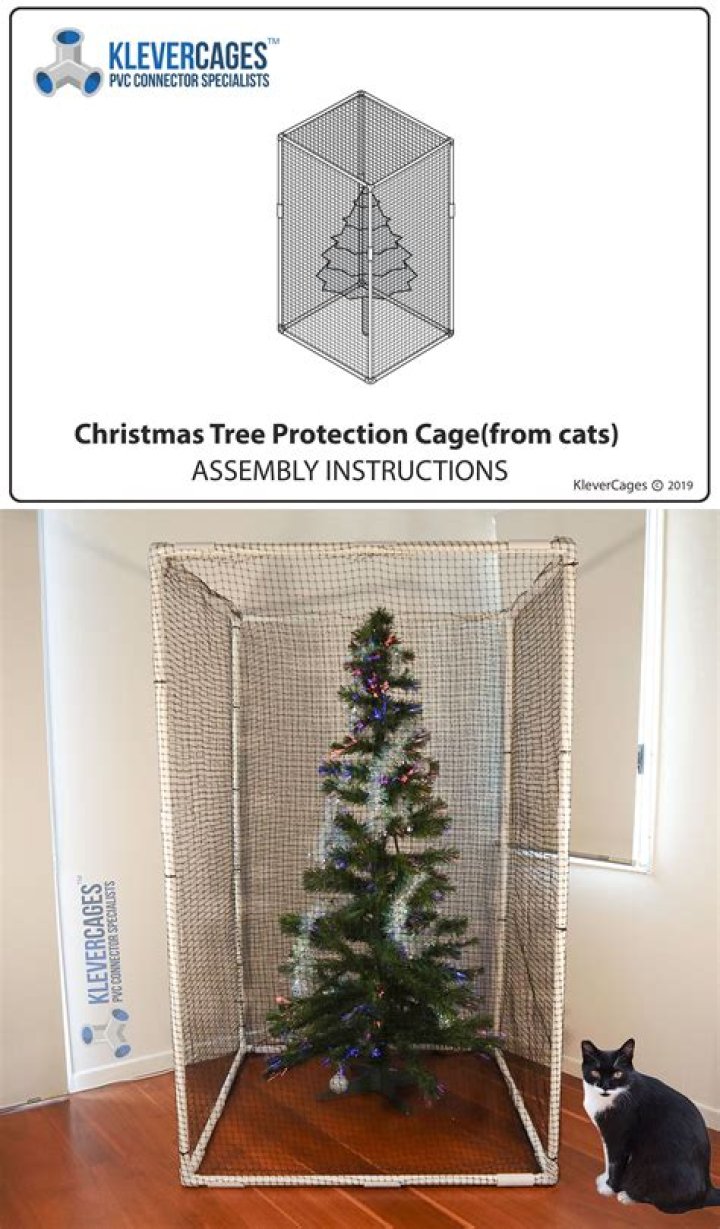 Is Christmas tree safe for dogs?