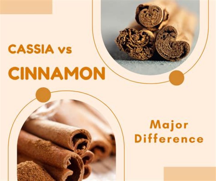 Is cinnamon and cassia the same?