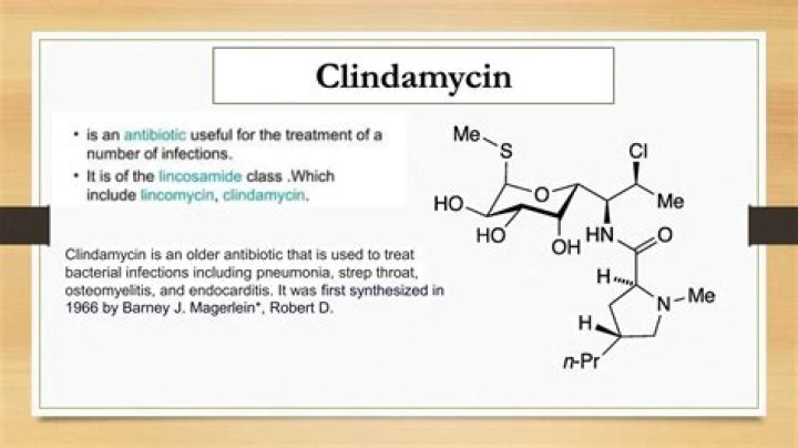Is clindamycin the same as penicillin?