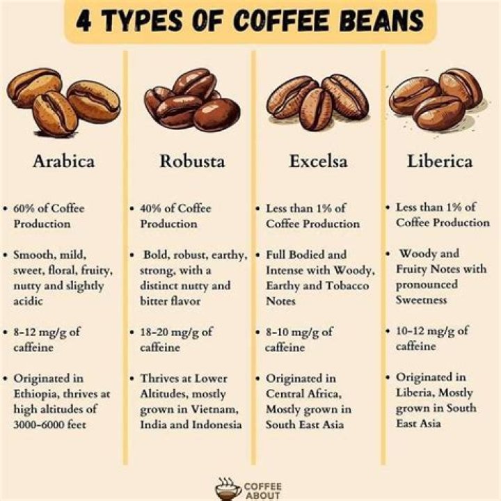 Is coffee really a bean?