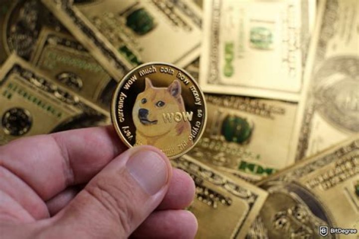 Is Dogecoin 2022 a good investment?