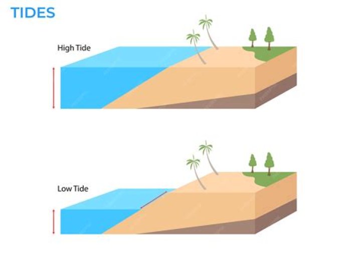 Is ebb high or low tide?