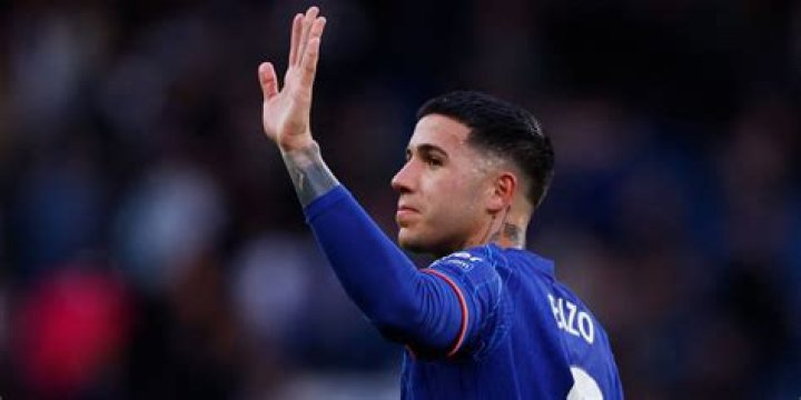 Is Enzo sired to Lily?