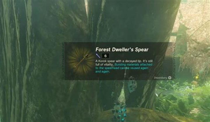 Is forest dweller spear rare?