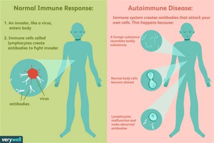 Is hemochromatosis an autoimmune disease?