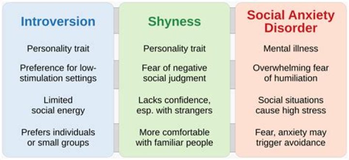 Is introversion just social anxiety?