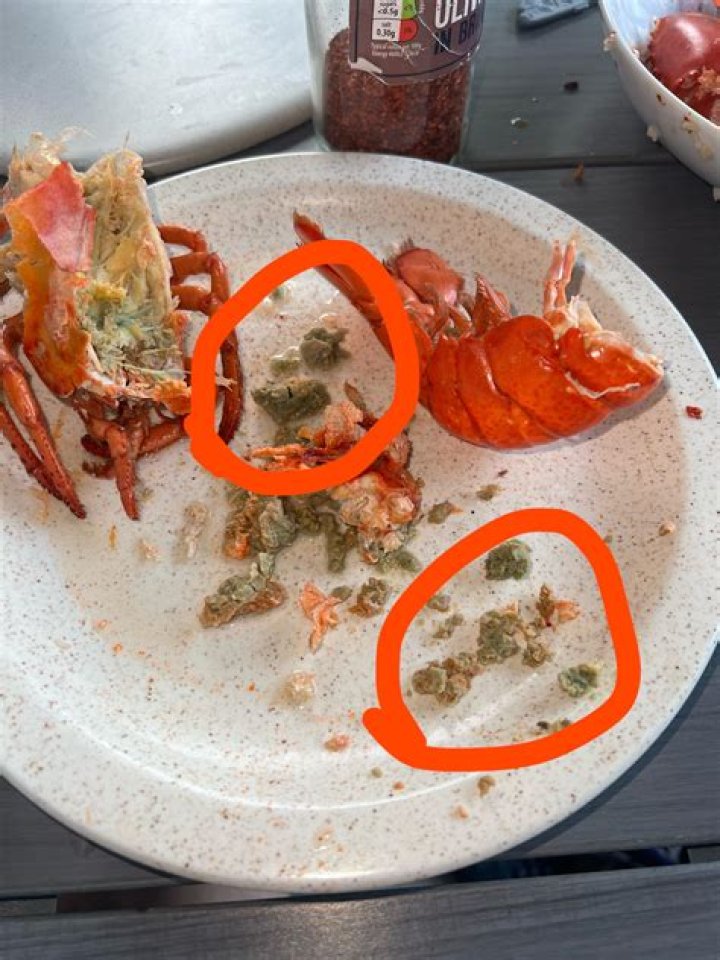 Is it safe to eat the green stuff in lobster?