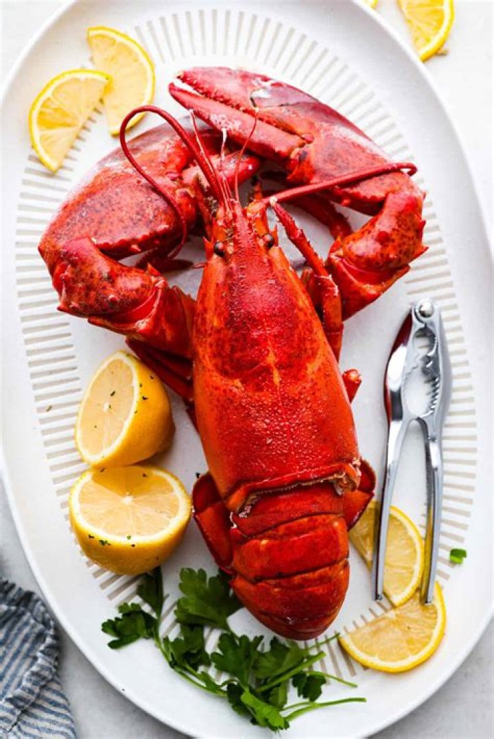Is lobster a bug?