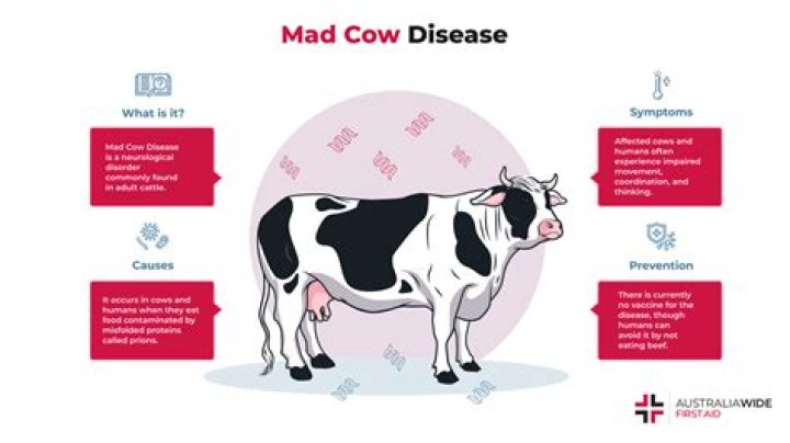 Is mad cow disease curable?