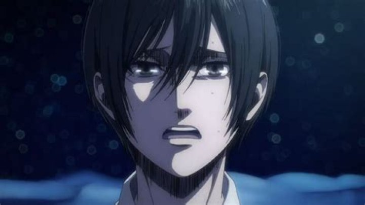Is Mikasa a boy now?