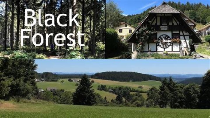 Is Munich near the Black Forest?