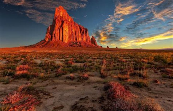 Is New Mexico high or low desert?