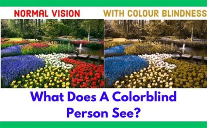 Is Niall fully colorblind?