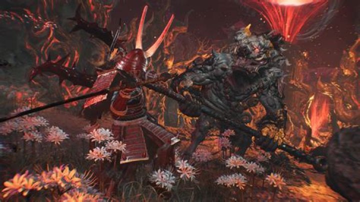 Is Nioh or Dark Souls harder?