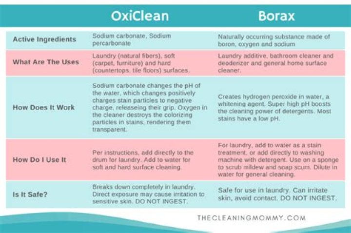 Is OxiClean the same as borax?