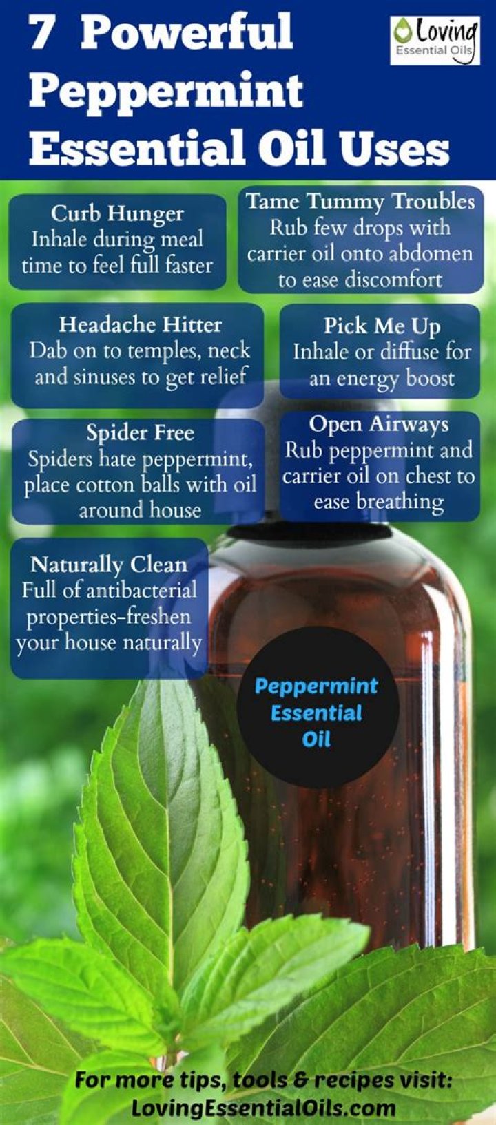 Is peppermint oil and peppermint essential oil the same?