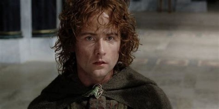 Is Pippin smarter than Merry?