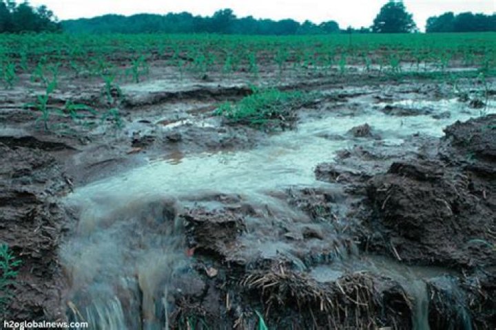 Is rainwater dirty for hair?