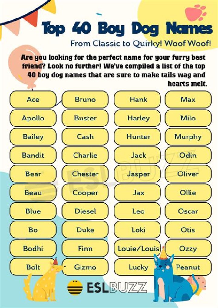 Is sky a boy dog name?